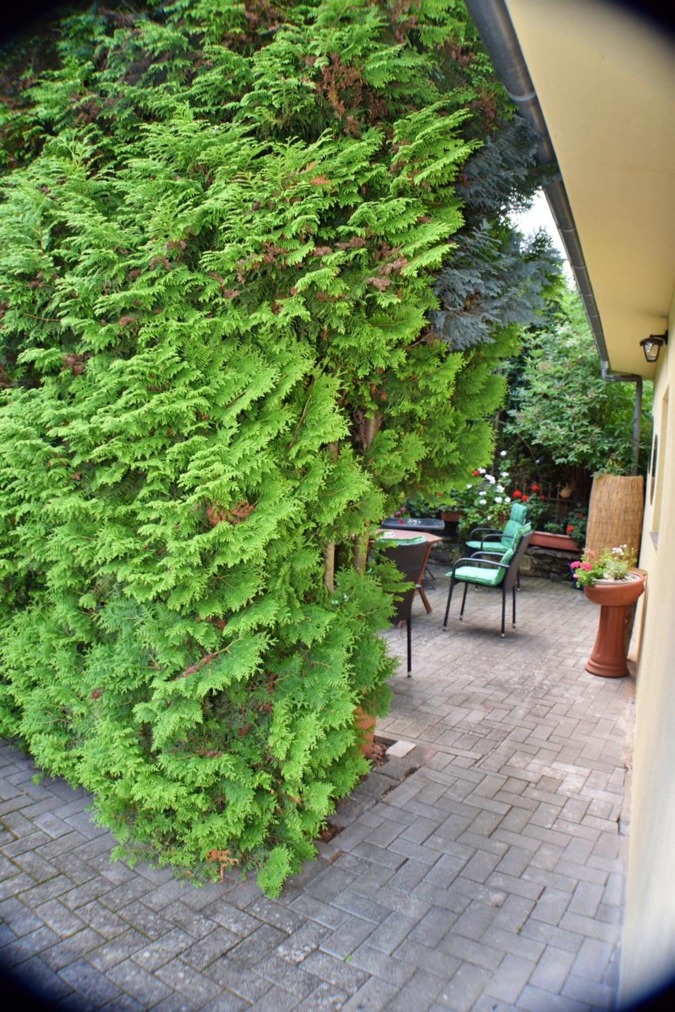 Apartment Goethe